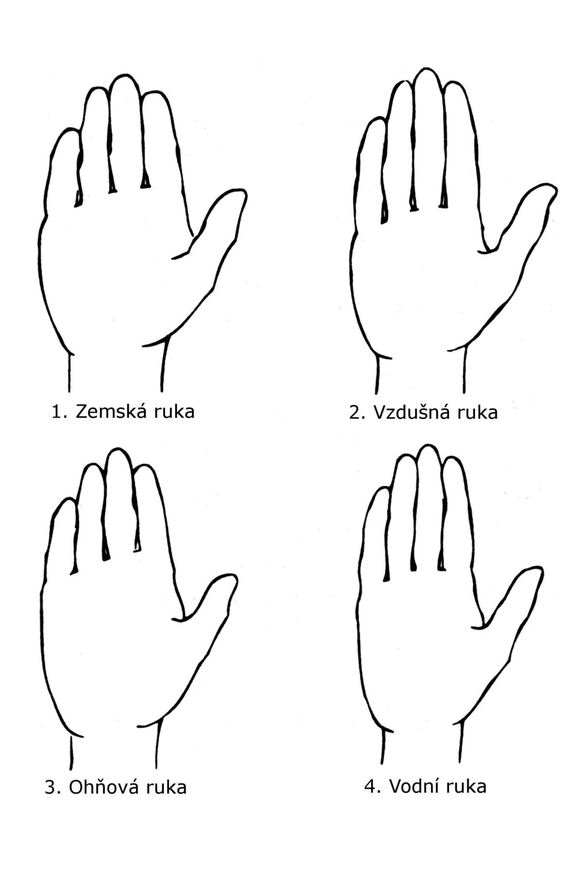 Co znamenají dlouhé prsty?