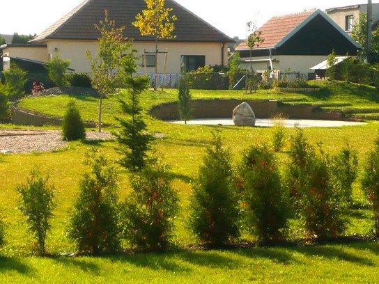 Zahradní rady: váš průvodce krásnou zahradou