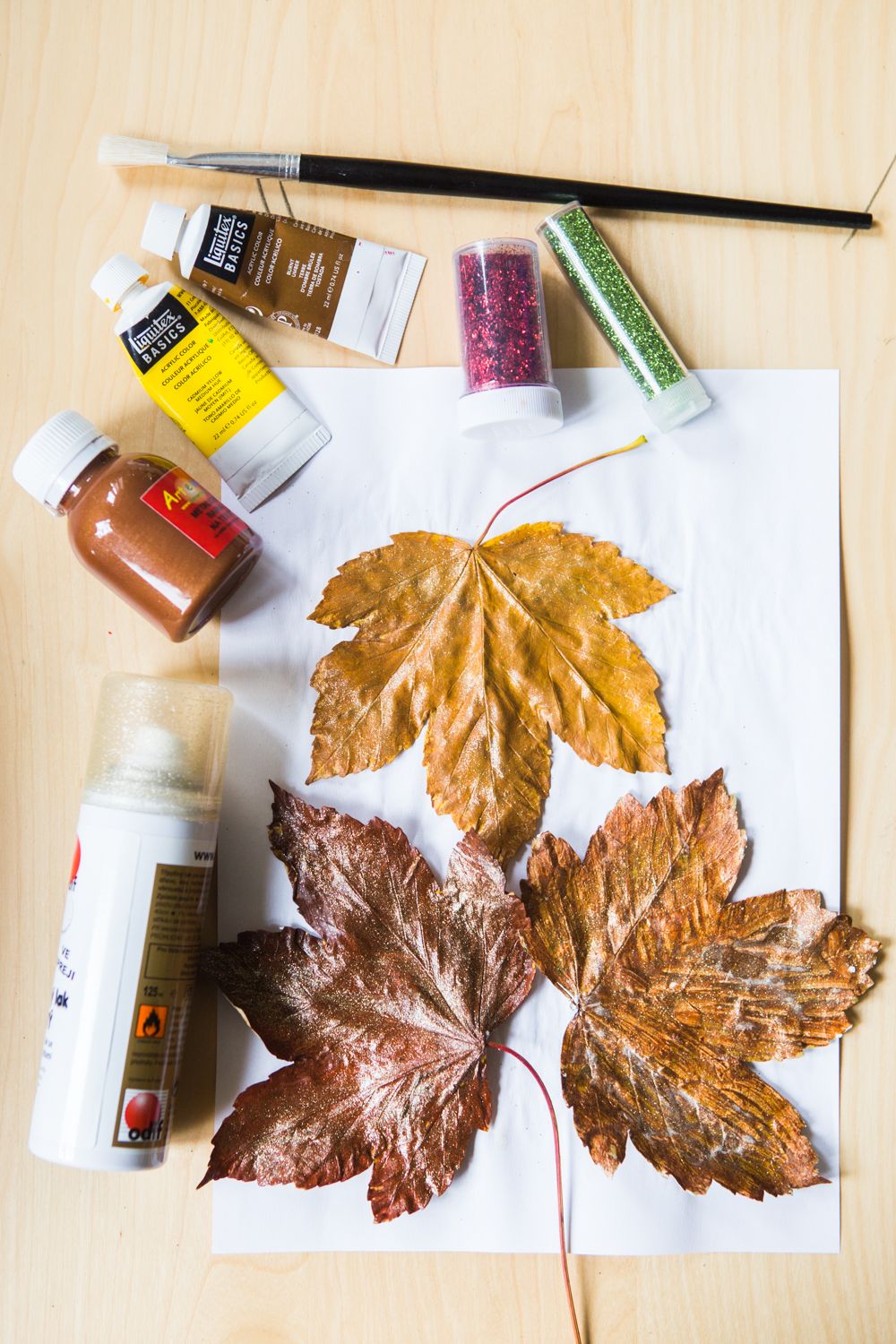 Jak zachovat barvu listů?