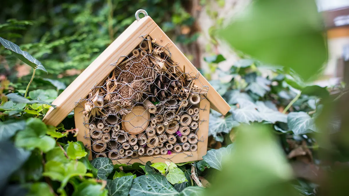 Hmyzí hotel: Ubytujte na zahradě včely samotářky nebo berušky ...