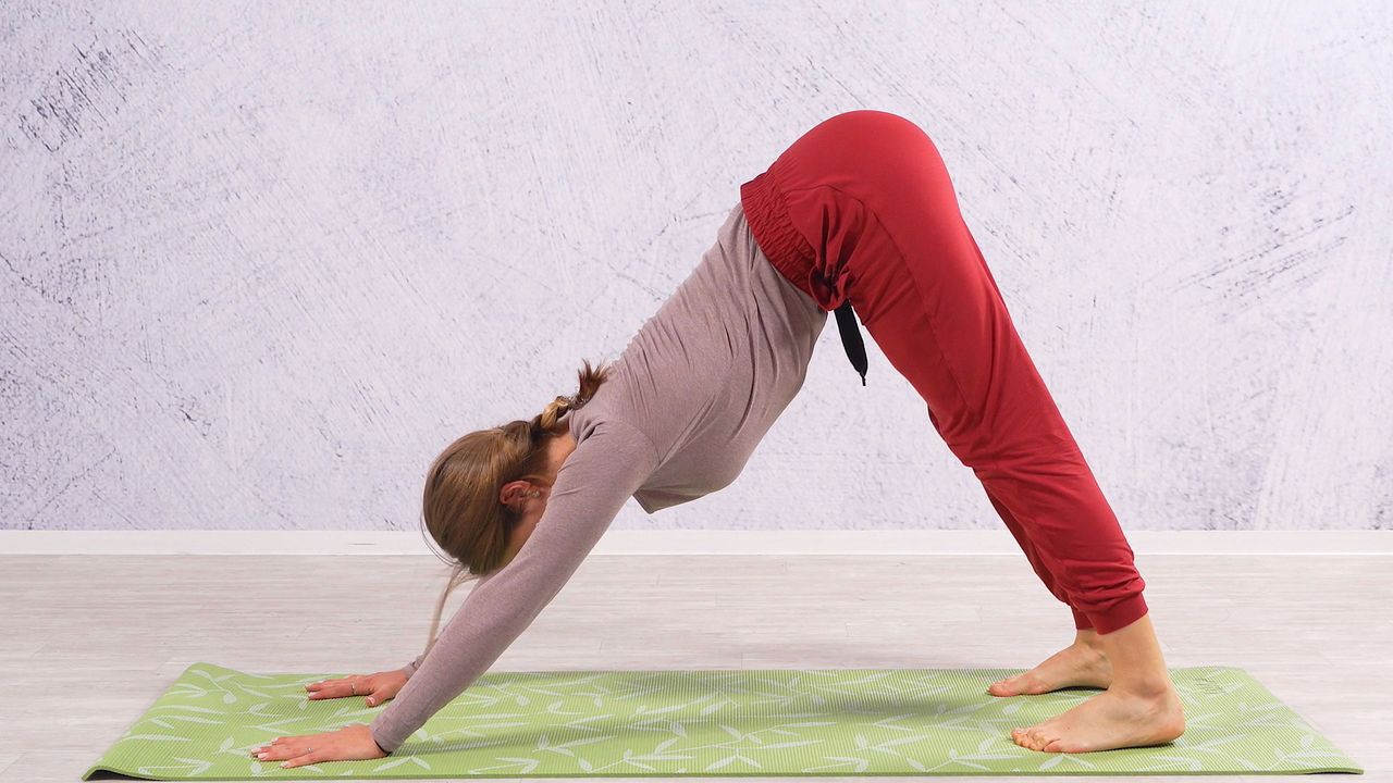 Jóga doma Naučte se dělat správně psa hlavou dolů Stream