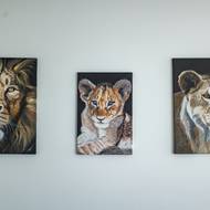 Tři lvi jsou na stěně proto, že Andrea, její manžel i malá Isabella jsou narození ve znamení Lva. Další potomek však bude s největší pravděpodobností Vodnář