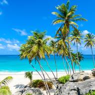 Karibský ráj - Barbados