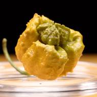 Nejpálivější paprička světa Pepper X vás sice neodrovná svou krásou, zato zaručeně svou chutí