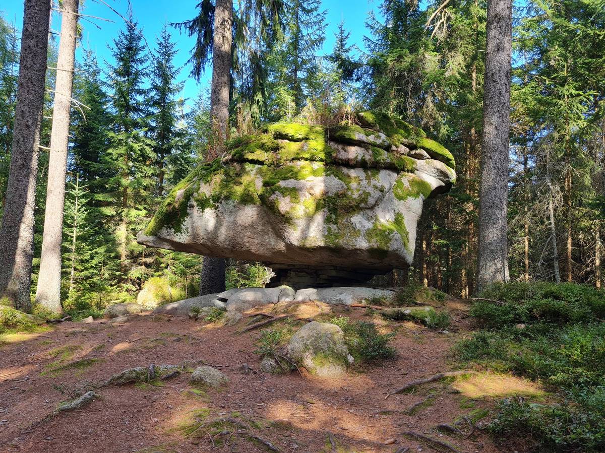 Medvědí stezka je spjatá s historií zastřelení posledního šumavského medvěda