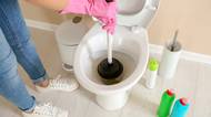 6 věcí, které nikdy nesplachujte do záchodu! Hrozí ucpané WC, prasklé trubky a vykrmení potkani