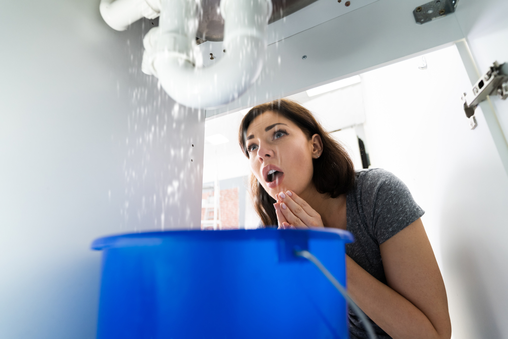 A picture of a woman in an apartment