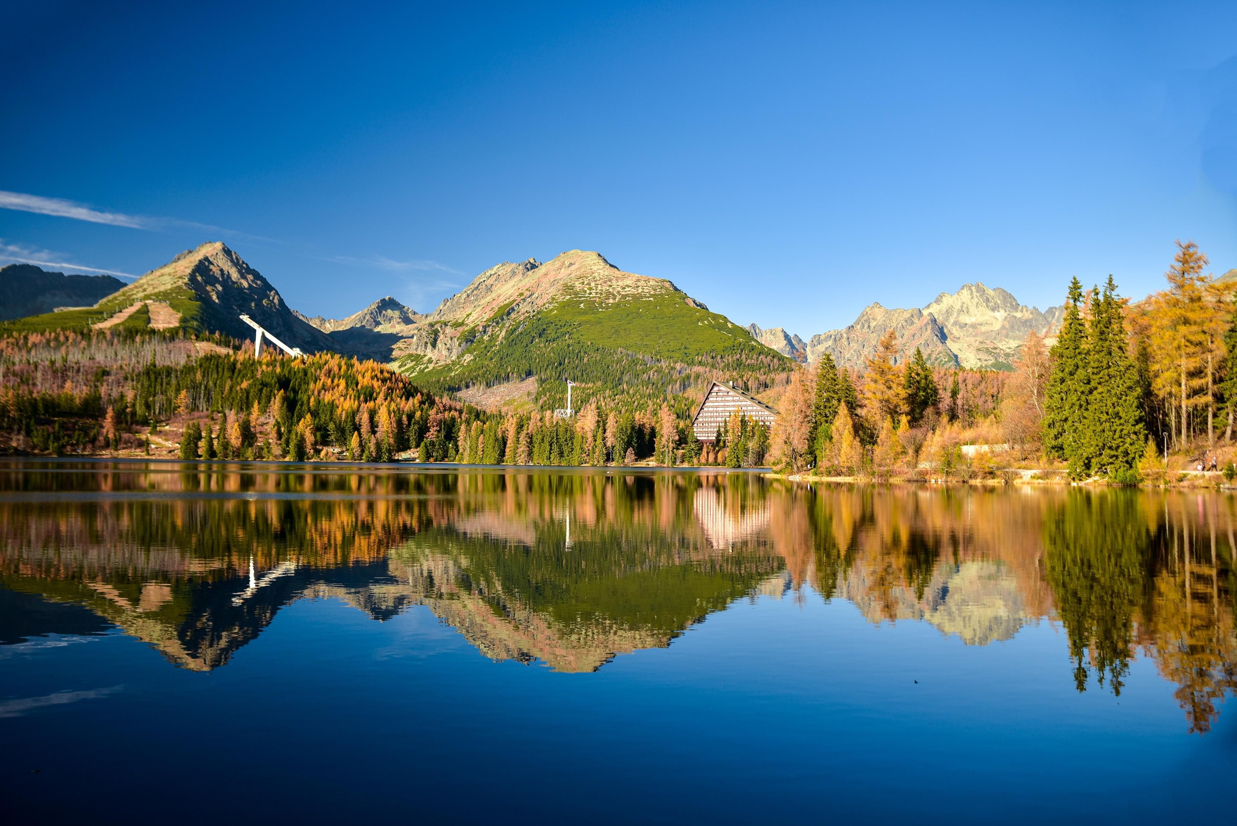 shutterstock_2248042937
