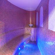 Ve wellness hotelu Alexandria najdete klasickou finskou saunu i laconium a parní lázeň