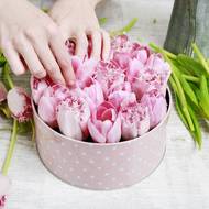 Květinové boxy jsou velmi oblíbené. Papírovou nebo kovovou krabici uvnitř potáhněte igelitem a vyložte ji namočenou aranžovací hmotou. Do té pak zapíchejte tulipány s asi 7 cm dlouhým, našikmo střiženým stonkem