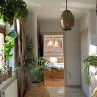 Zeleň, materiály, vzory a dekorace, to je kombinace, která evokuje pohodu až dovolenkovou