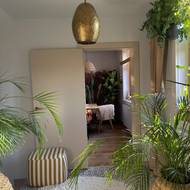 Při pohledu z chodby do prostoru s jídelním stolem je jasné, že velké rostliny jsou důležitou součástí interiéru