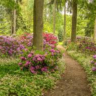 Přenádherná Dendrologická zahrada v Průhonicích vás ohromí