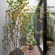 Venkovní atrium není velké, ale přesto mění ráz interiéru