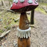 V lesoparku v Adamově rostou překrásné houby celoročně.