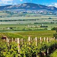 Velikonoční brunch si užijete v restauraci v Habánských sklepích ve Velkých Bílovicích