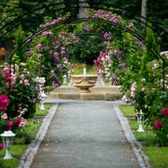 Růžové záhony na Jemništi jsou proslulé