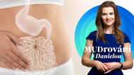 Střevní mikrobiota ovlivňuje psychiku, obezitu i cévy. Jak pečovat o svůj „druhý mozek“?